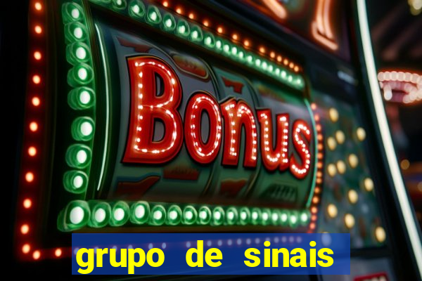 grupo de sinais fortune rabbit